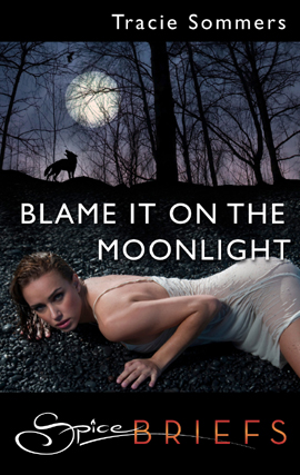 Title details for Blame It On the Moonlight by Tracie Sommers - Wait list